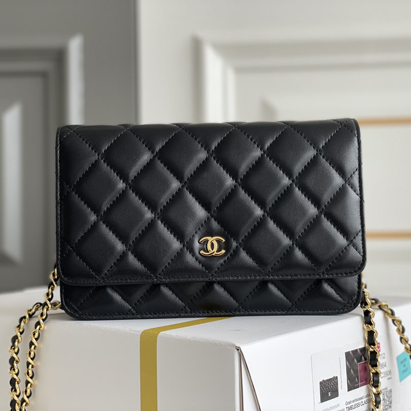 Chanel WOC Bags - Click Image to Close